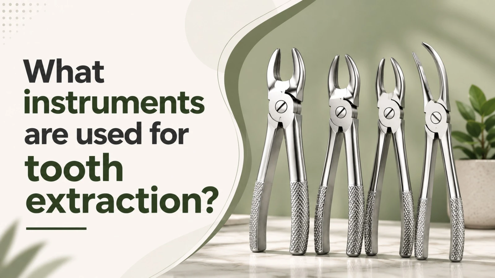 What Instruments Are Used for Tooth Extraction?