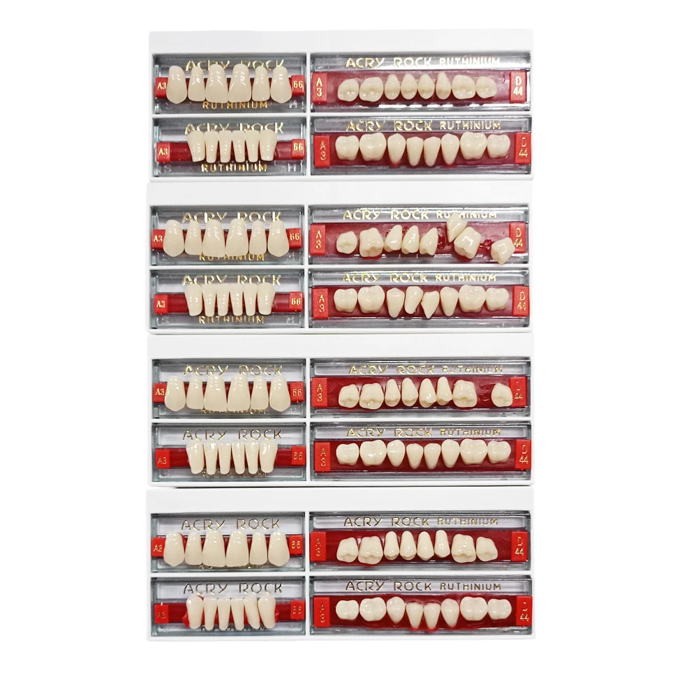Ruthinium Acryrock Teeth Sets-S 66-A3 (Pack of 4 sets) 