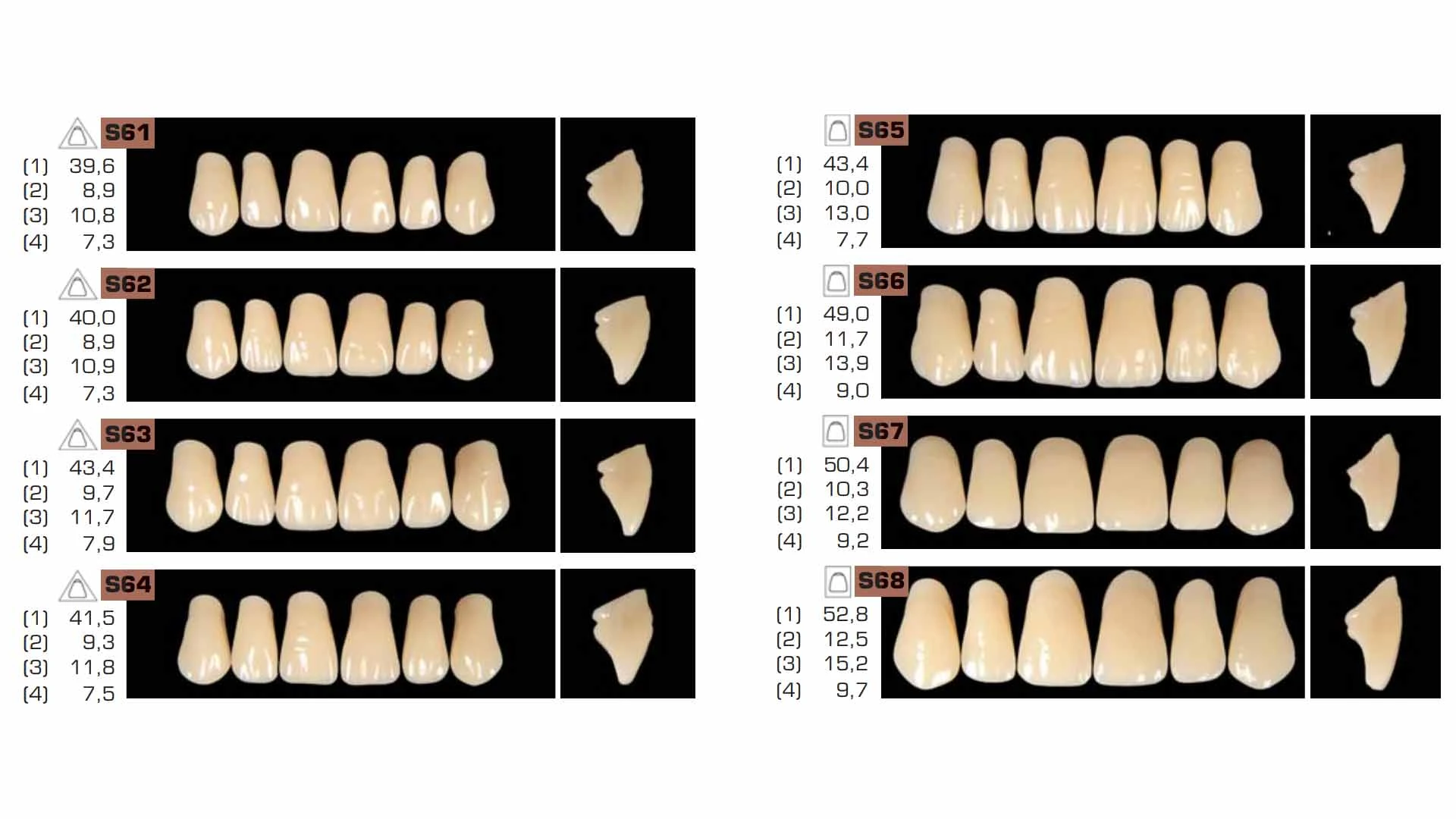 Ruthinium Acryrock Teeth Sets-S67-A3 (Pack of 4 sets) 