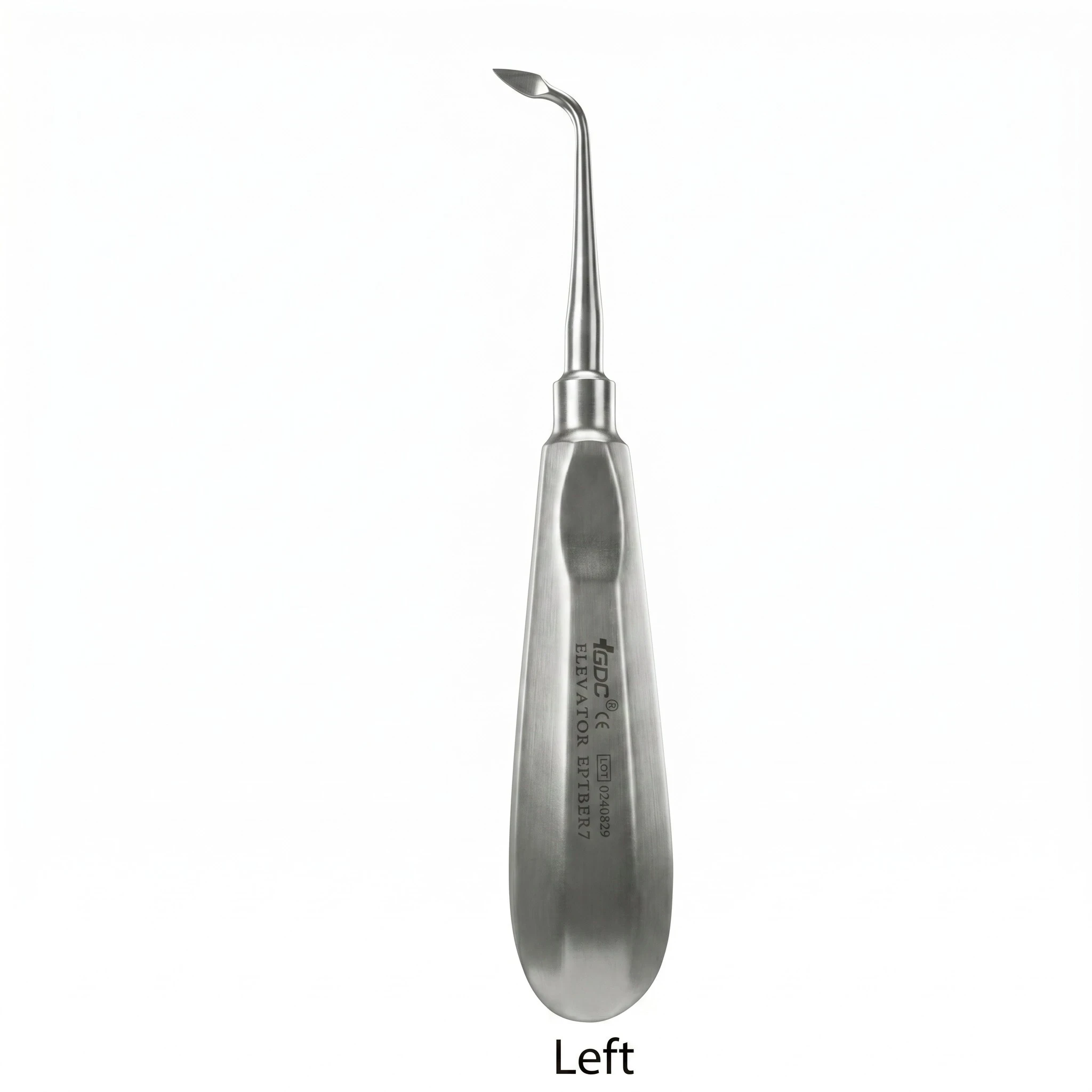 Left Lingual  EBER7