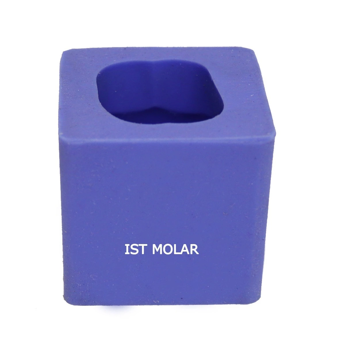 Teeth Enlarger Upper 1st Molar