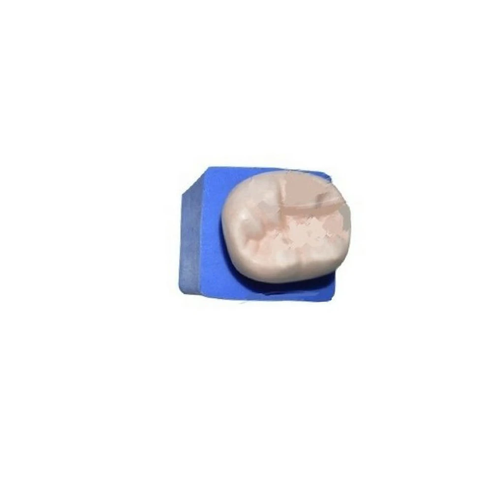 Teeth Enlarger Lower Molar