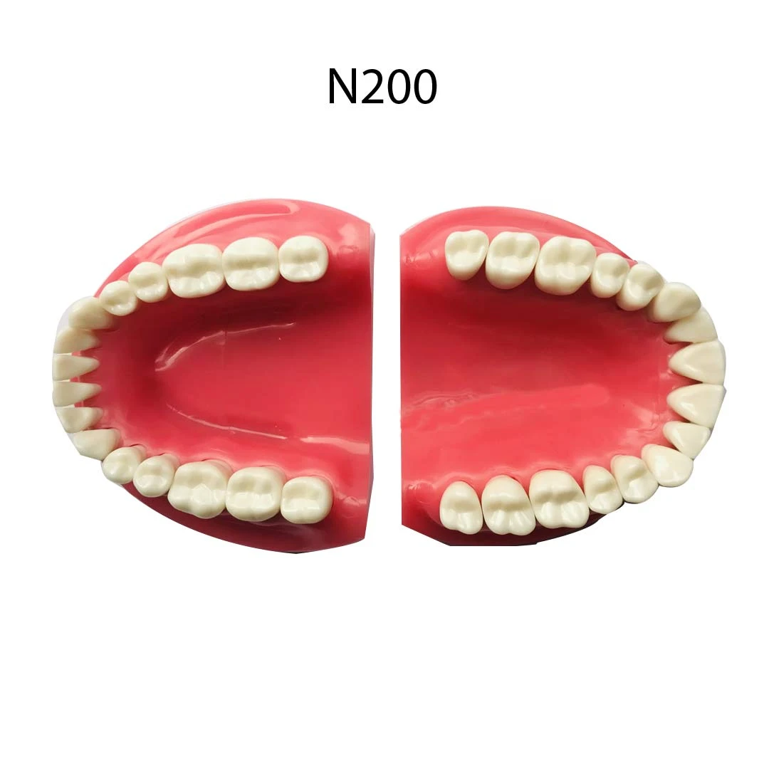 TypodontsN200