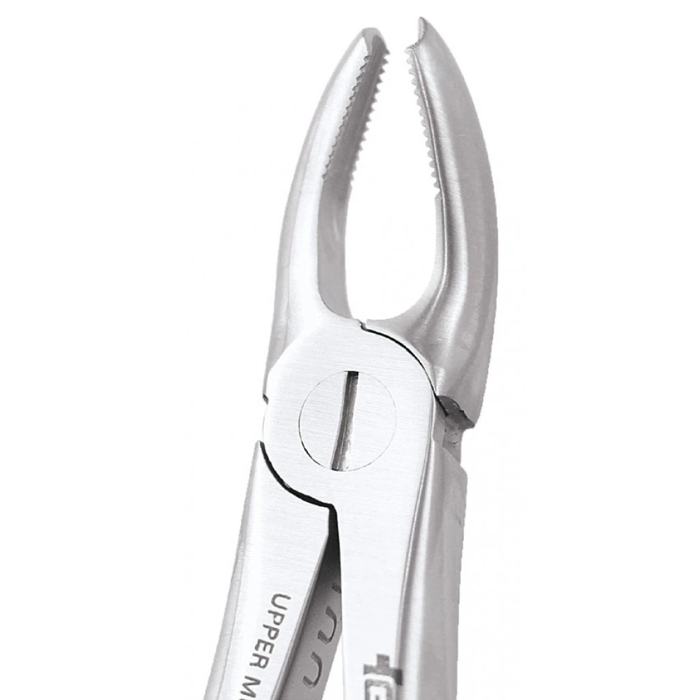 Upper Molar Left Standard FX18S