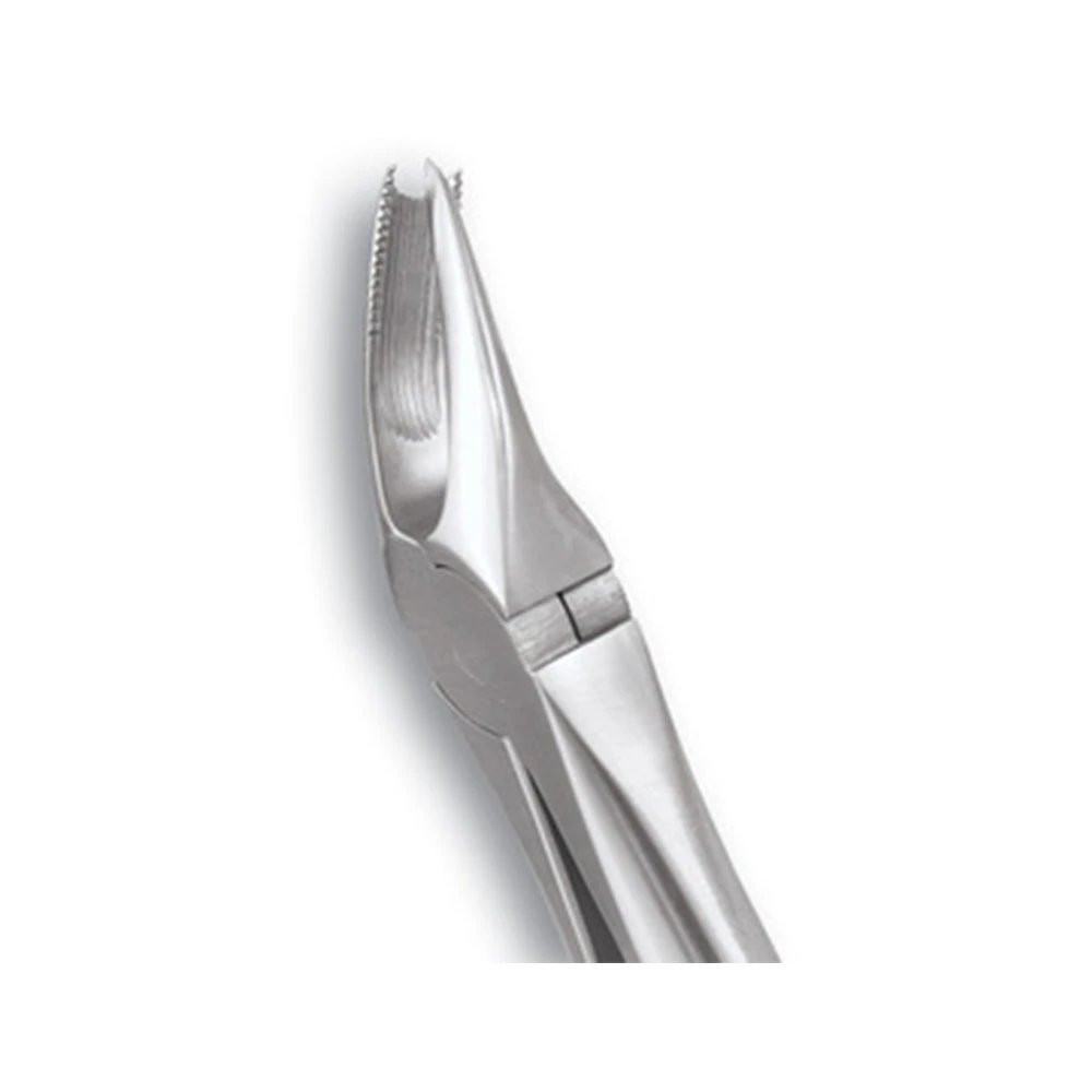Upper Molars Right Standard  FX89S