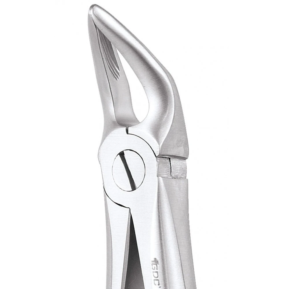  Lower Roots  31 Standard FX31S