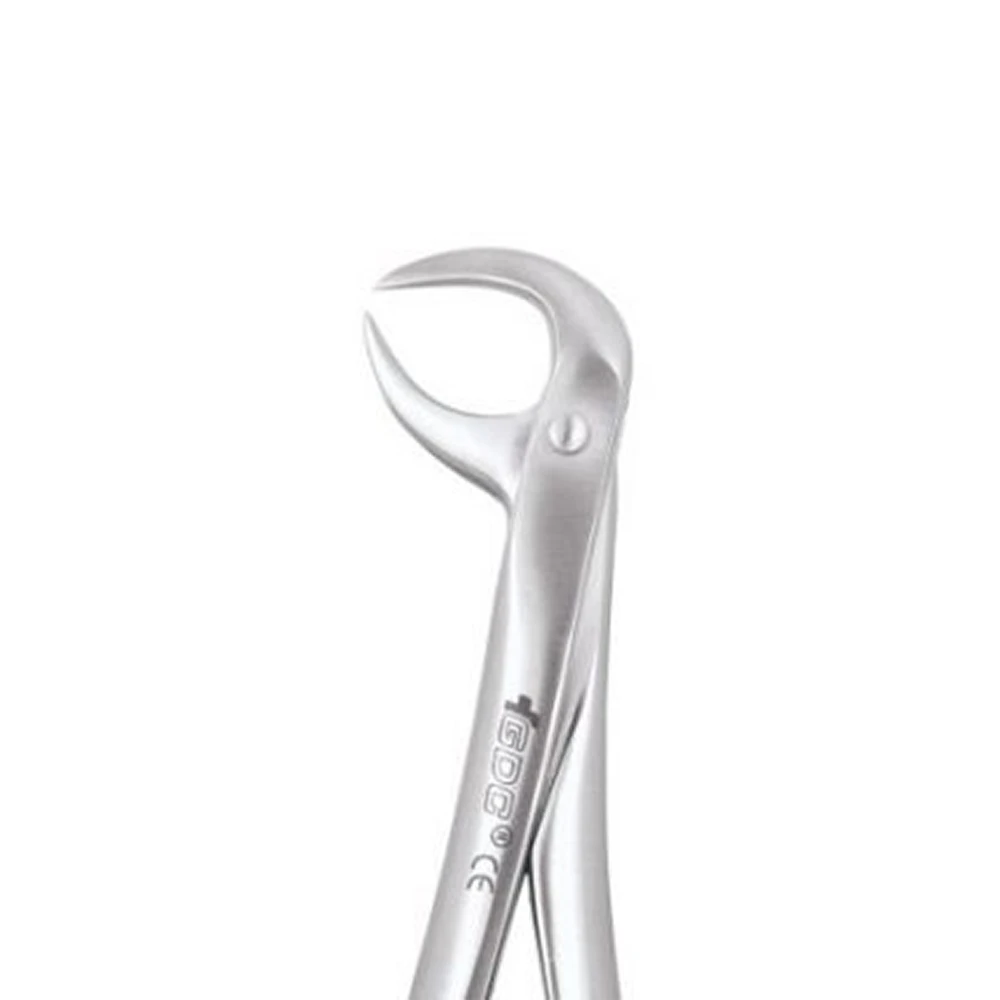  Lower Molars  86B Standard FX86BS