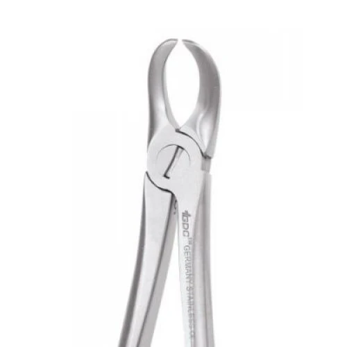 Lower Molars  87 Standard FX87S