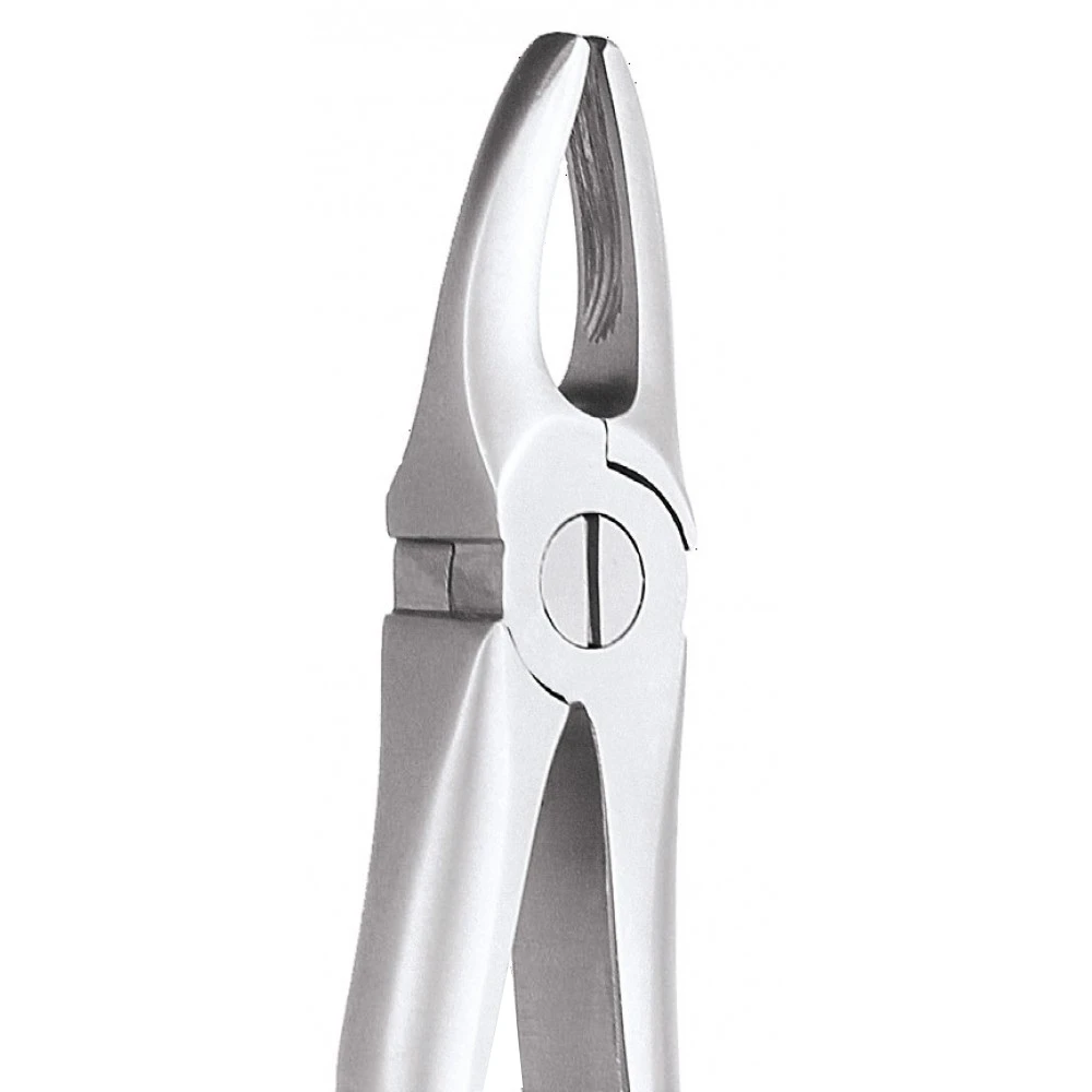 Upper Anteriors  1 Standard FX1S