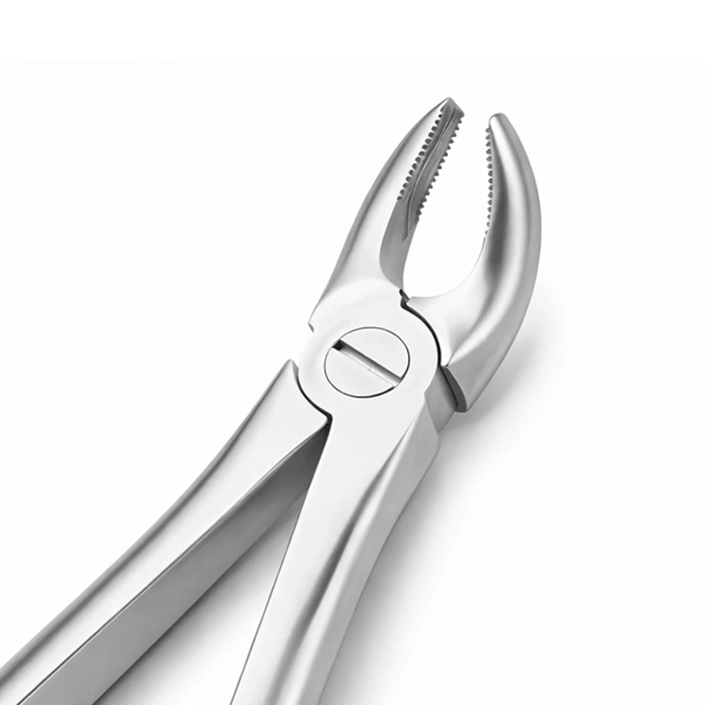 Upper Molars Right Standard  FX17S