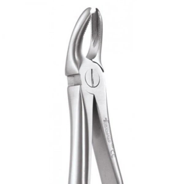 Upper Molar Standard 18A FX18AS