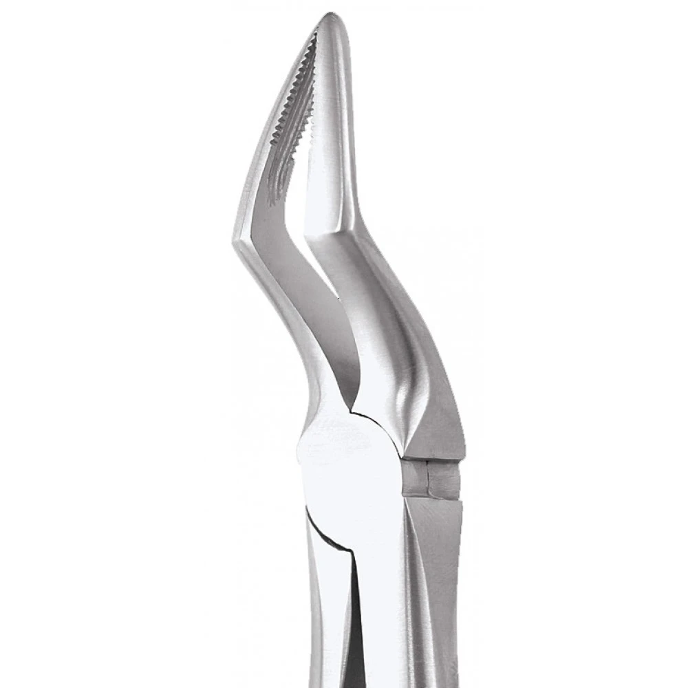 Upper Roots  51 Standard FX51S