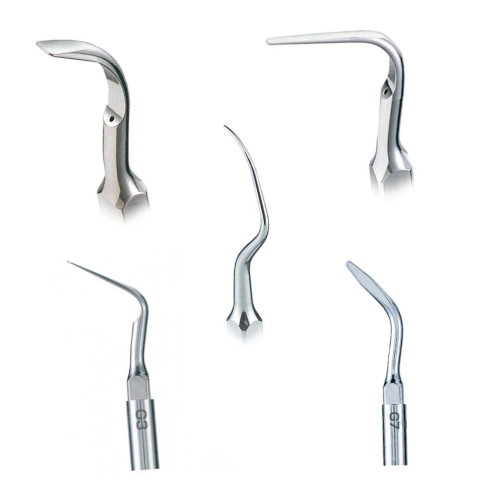 Nsk Scaler Tip P1 