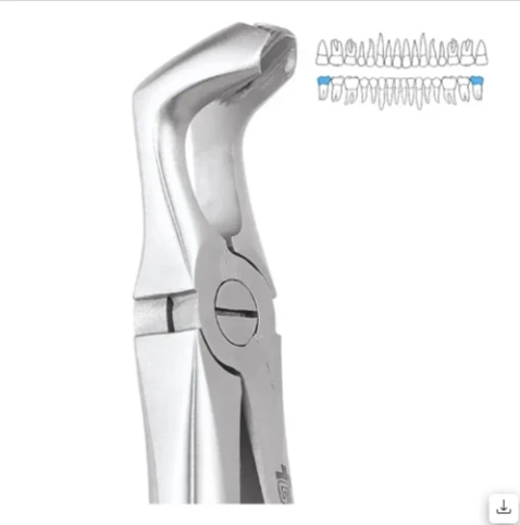 Kit (Set Of 12) (EFSP12)