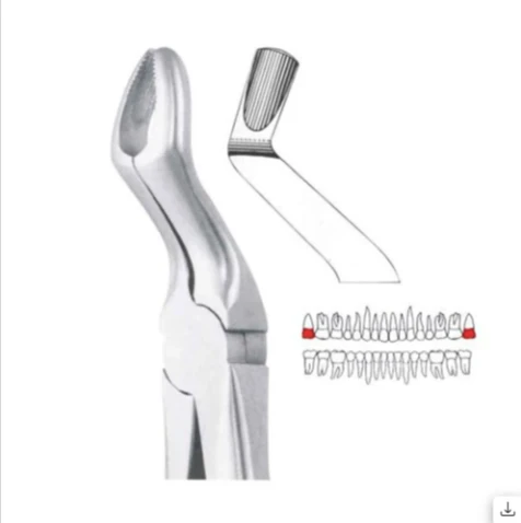 Upper Third Molars - 67a Premium (Fx67ap)