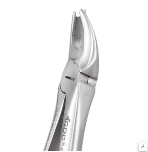 Upper Molars Left Premium (FX90P)