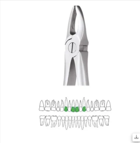 Upper Anteriors - 1 Premium (FX1P)