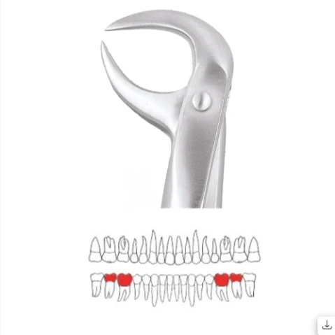 Lower Molars - 86b Premium (FX86BP)
