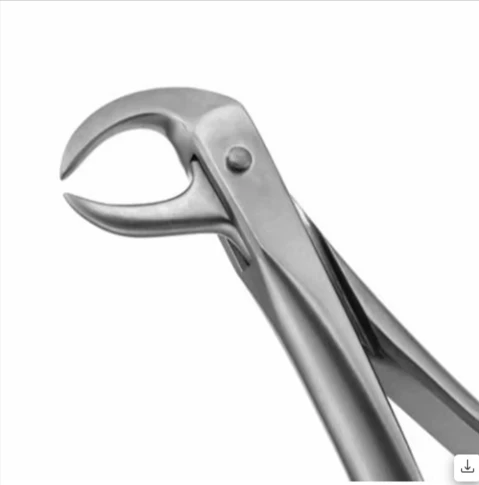  Lower Molars - 86C Premium (FX86CP)