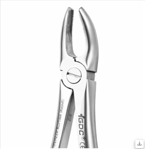  Upper Molars Right Premium - FX17P