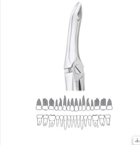 Lower Premolars - 13 Premium (FX13P