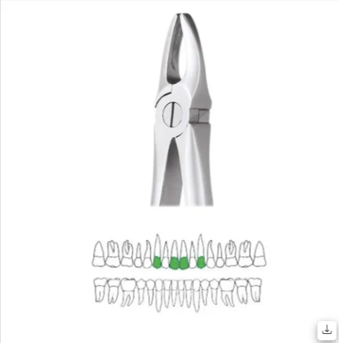 Upper Third Molars - 67a Ergonomic (Fx67ae)