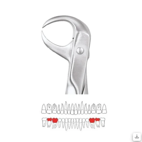 Lower Molars - 86 Ergonomic (FX86E)