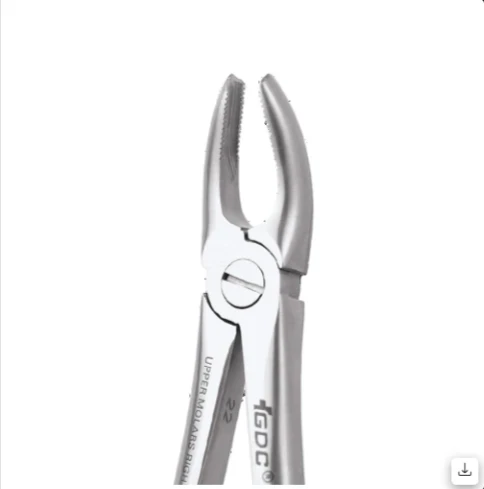 Upper Molars Right Ergonomic - FX17E
