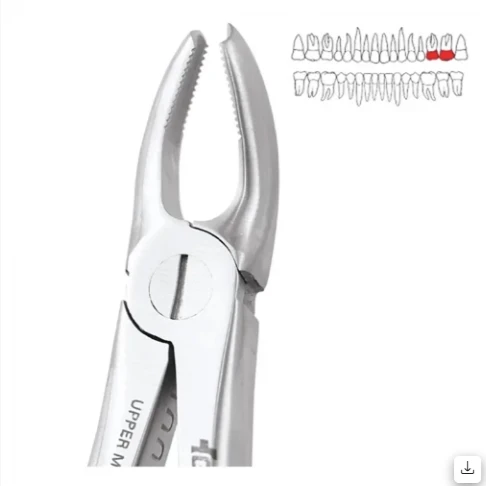 Upper Molar Left Ergonomic (FX18E)
