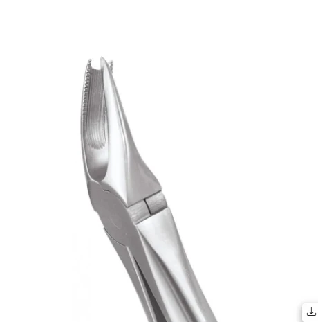 Upper Molars Right Ergonomic- (FX89E)