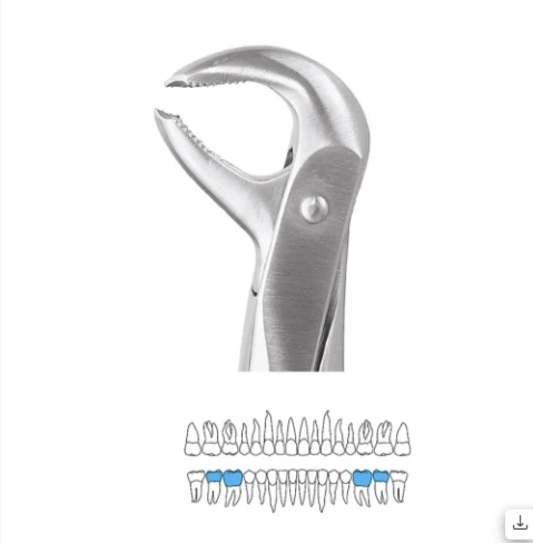  Lower Molars - 73 Ergonomic (Fx73e)