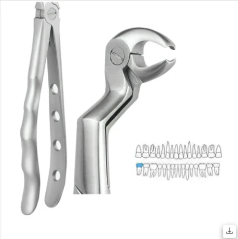 Lower Molars And Wisdoms Right - Premium (Fx22 1/2rp)