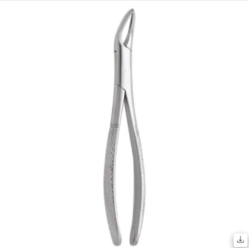 Lower Molar And Wisdom Left-22 1/2l Premium (FX221/2LP)