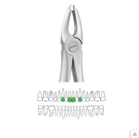 Upper Centrals And Canines - 1 Atraumatic (AFX1)