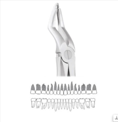 Upper Roots - 51a Atraumatic (Afx51a)