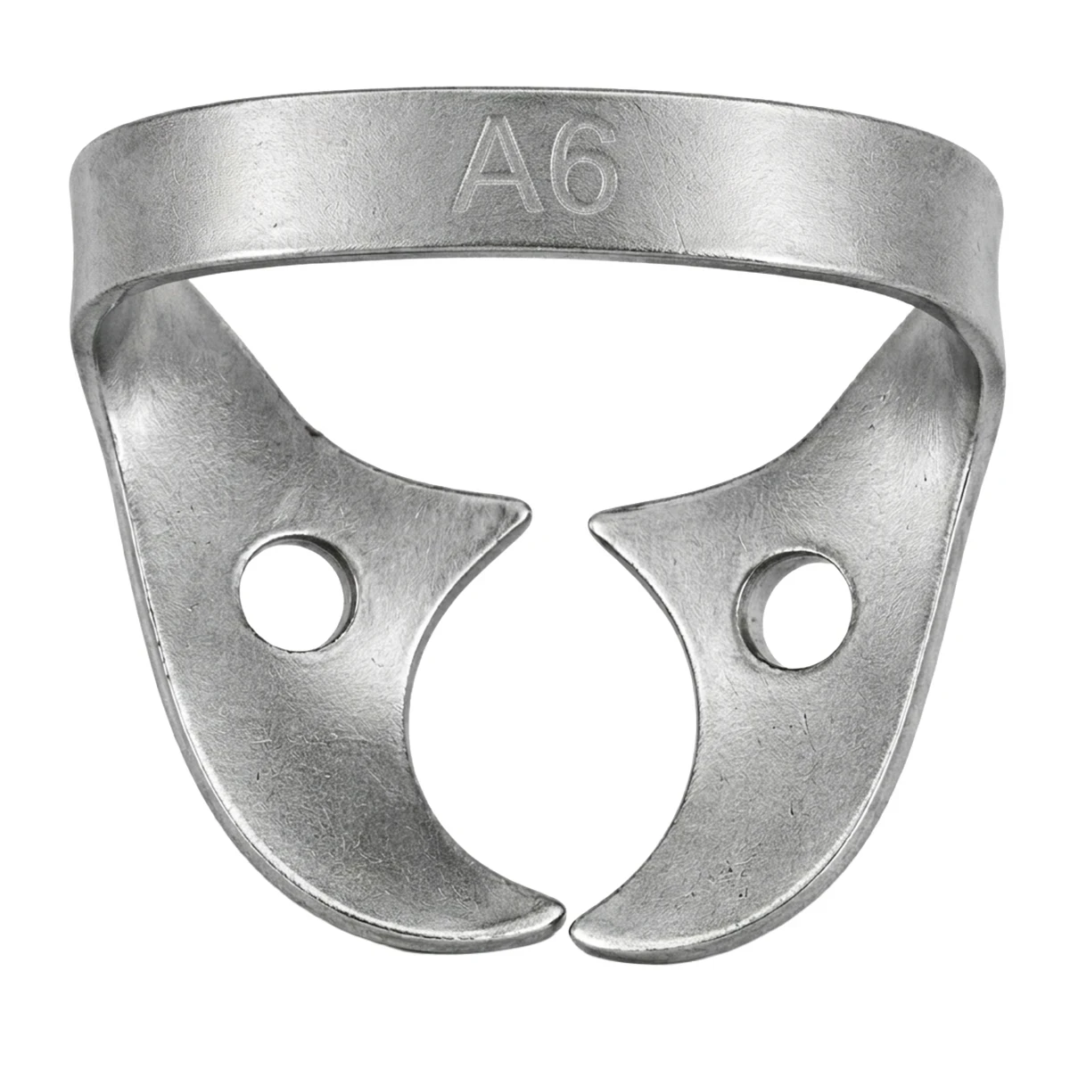 Paedo A6 (Rdca6)