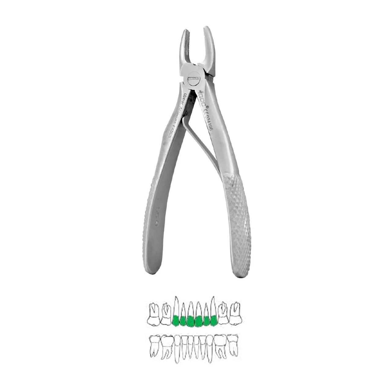 Upper Anterior Pedo Standard (FX5CS)