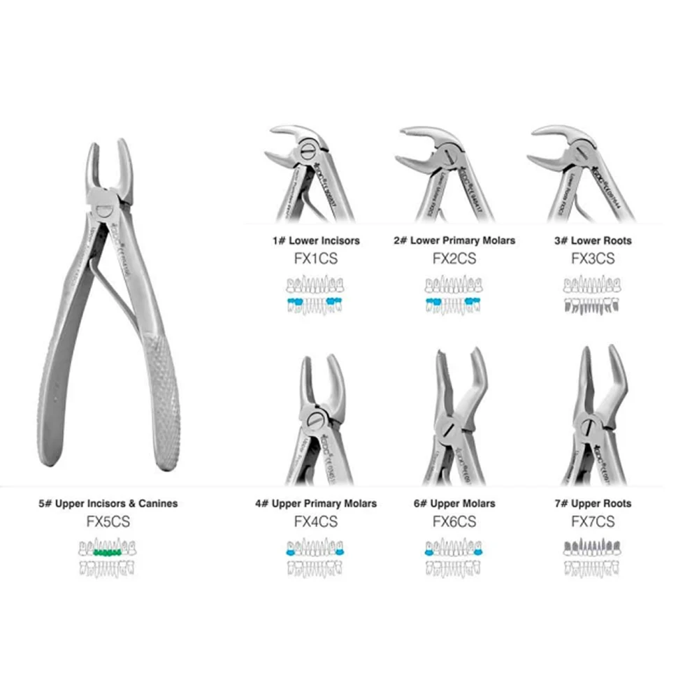 Pedo Set Of 7 In Pouch Standard (EFPSP7)