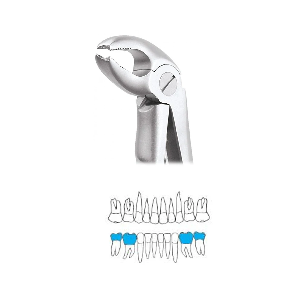 Lower Molars Pedo Standard (FX2CS)