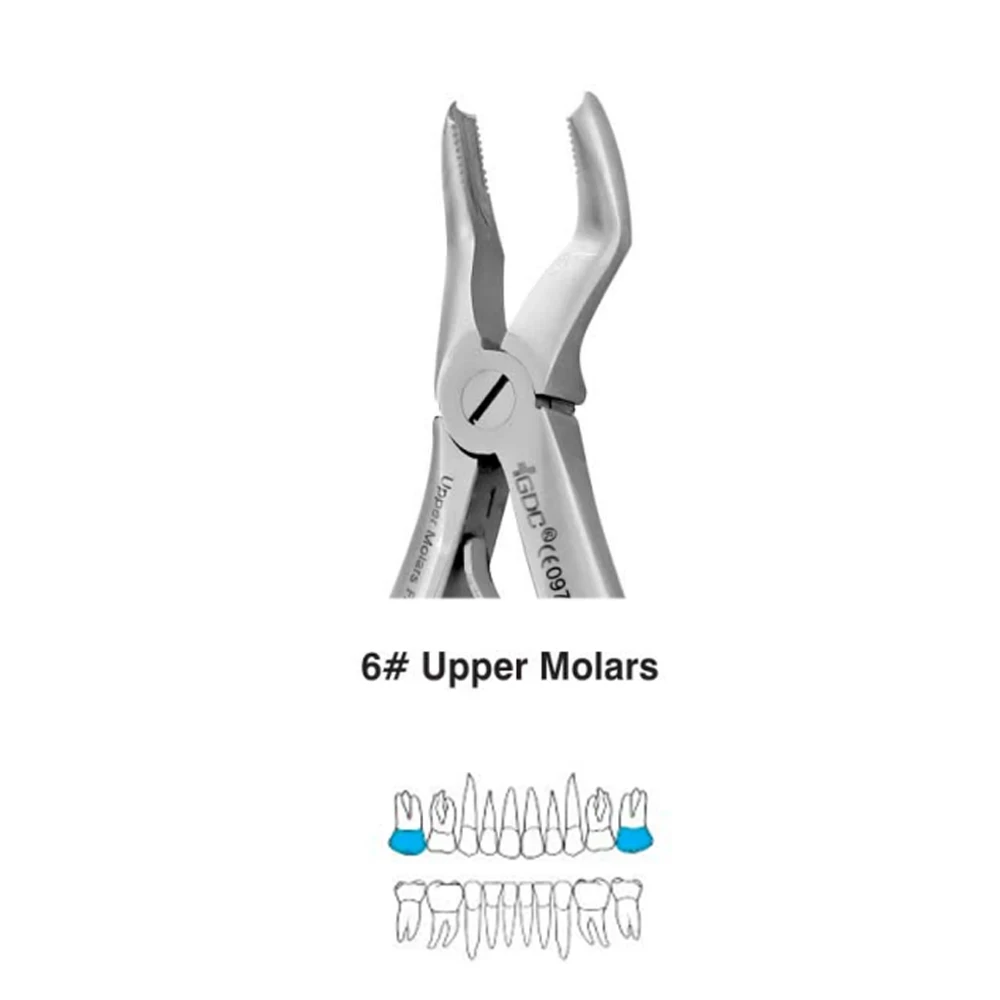 Upper Molars Pedo Standard (FX6CS)