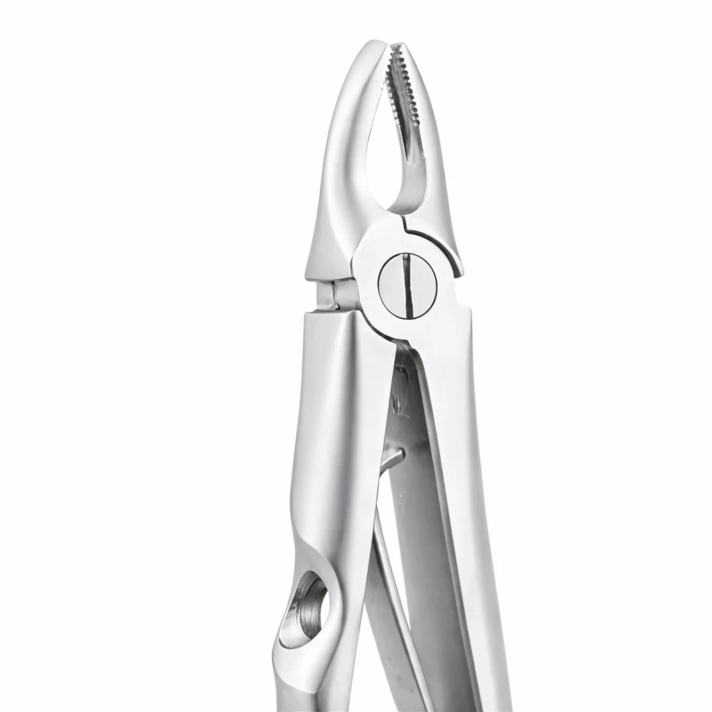 Upper Anterior Peedo Premium (FX5CP)