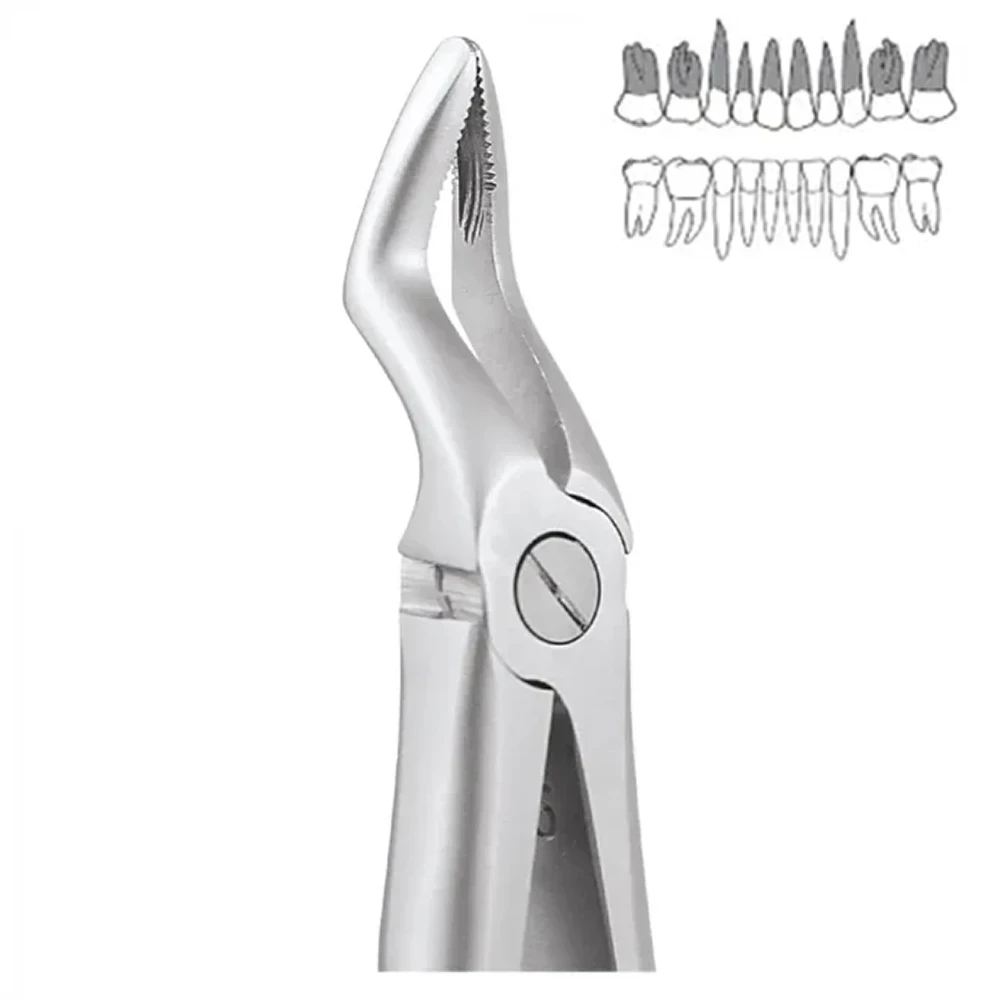 Upper Roots Pedo Standard (FX7CS)