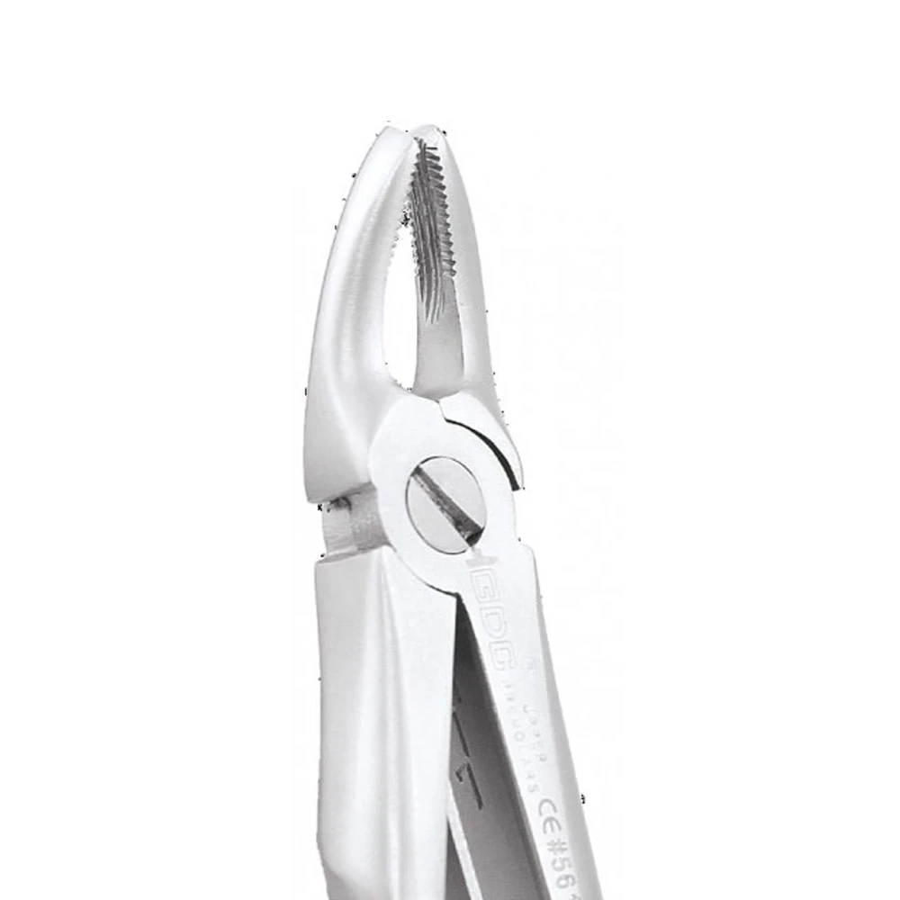 Upper Premolars Peedo Premium (FX4CP)