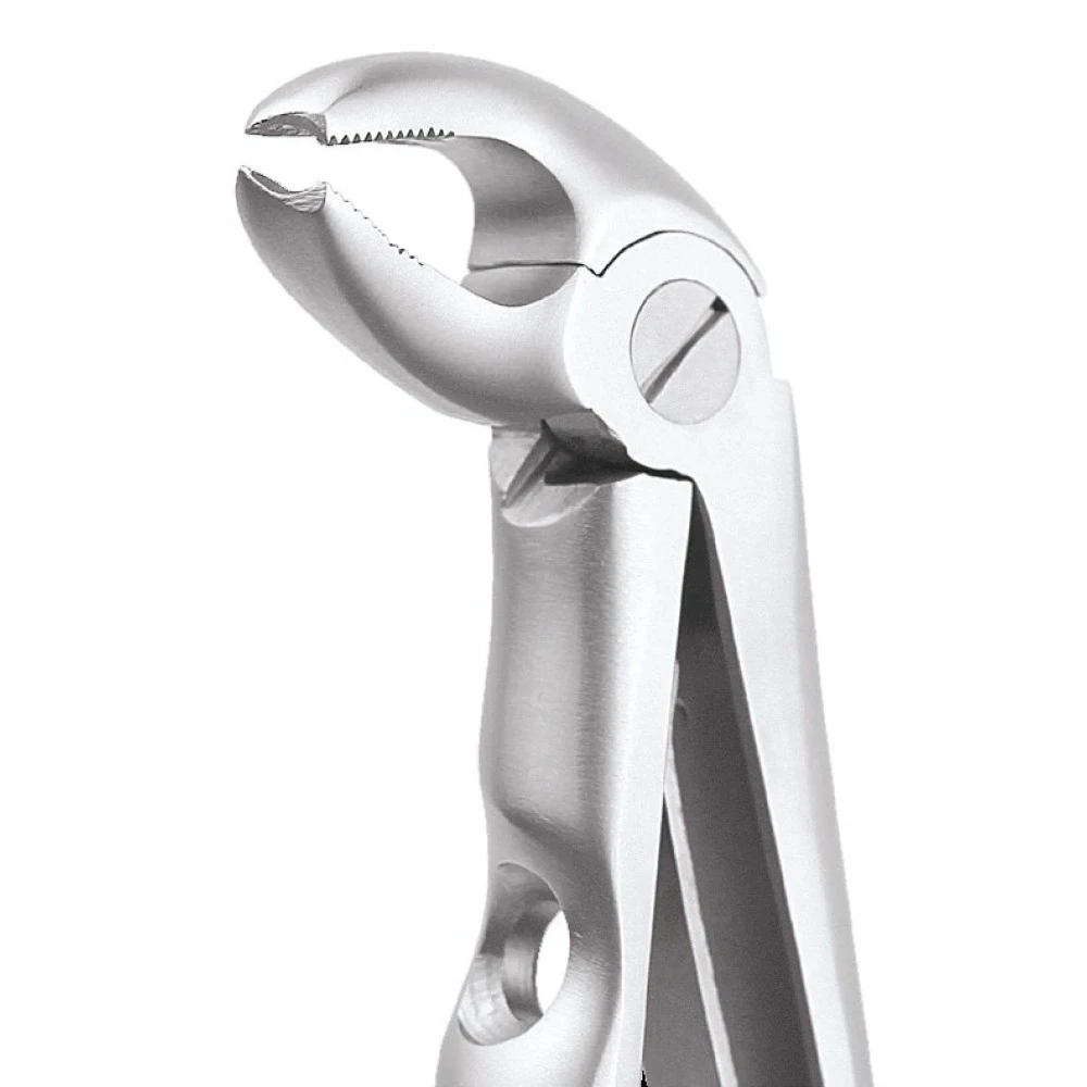  Lower Molars Pedo Premium (FX2CP)