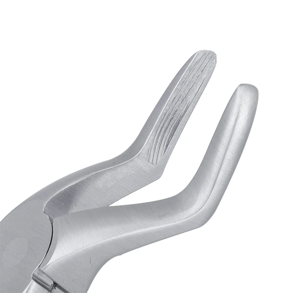 Upper Roots Pedo Premium (Fx7cp)