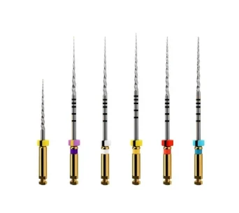 31Mm - Sx  S1  S2  F1 F2 And F