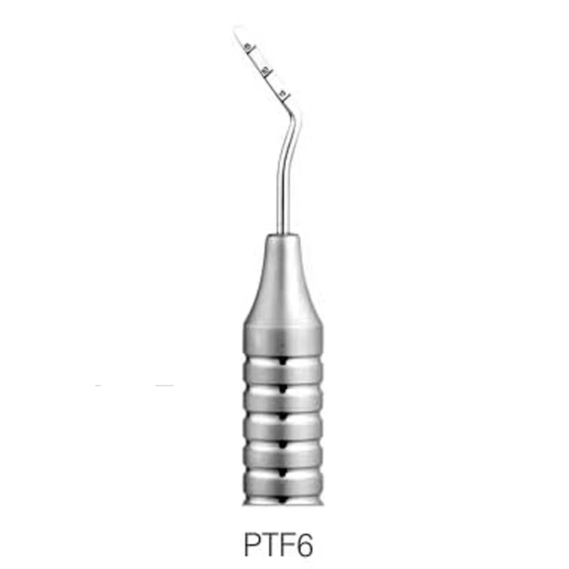  (PTF6)