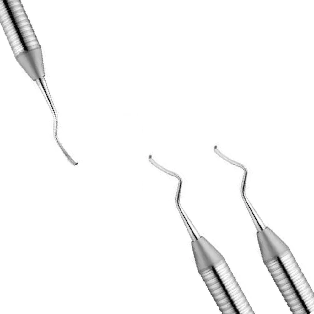 Buccal/lingual # 6 (SQBL2 # 6)