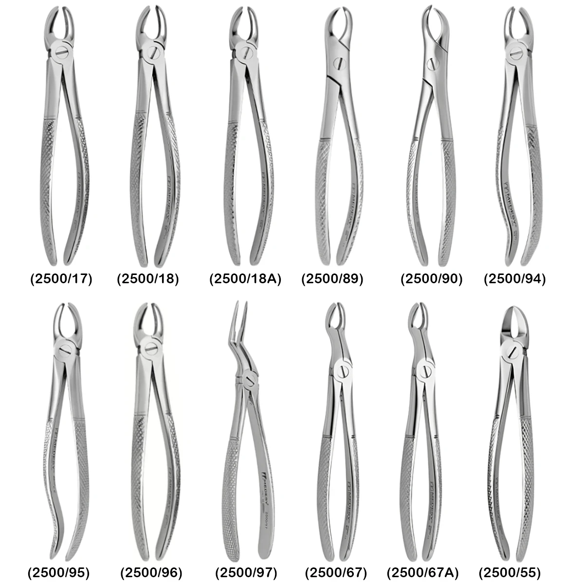 Molars Extraction Forceps (2500/18-A)