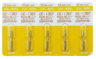 CE 13Ef